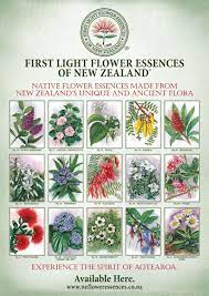 We did not find results for: First Light A2 Poster Featuring 15 Stunning Pictures Of Nz Native Plants