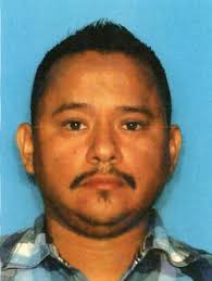 Texas Board of Nursing Bulletin