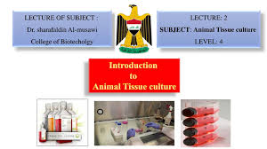 Animal cell culture collection center. Introduction To Animal Tissue Culture Ppt Download