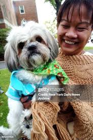 3,036 Horn Bill Stock Photos, High-Res Pictures, and Images