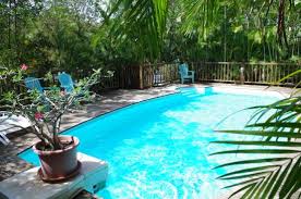 Tout est fait pour que l'on se sente chez nous. Piscine Picture Of Au Jardin Des Colibris Ecolodge Spa Deshaies Tripadvisor