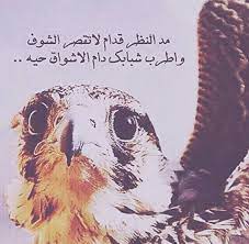 صور بدوية مكتوب عليها أشعار فوتوجرافر funny jokes funny quotes funny