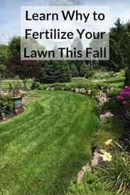 Best Place To Find Perfect Lawn Overseeding Lawn When To Fertilize Lawn Reseeding Lawn Lawn Food Resodding Lawn Lawn Fall Lawn Care Overseeding Lawn Fall Lawn