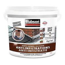 Anti Infiltrations Blanc 1kg Castorama