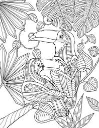 Asignación de citas por internet. Pour Me Donner Des Ailes Coloring Book Agenda 2015 Kleurplaten Mandala Kleurplaten Kleurboek