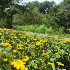 Image result for foto Vitálka