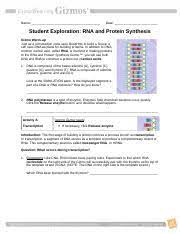 Click the release enzymebutton, and describe what happens. Rna And Protein Synthesis Gizmo Answers Quizlet Worksheet On Dna Rna And Protein Synthesis Answer Key Quizlet
