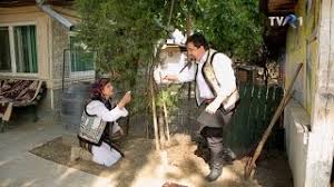 Fiecare din noi a văzut această plantă cu frunze cărnoase, dar puțin au avut norocul să vadă arborele cu bani în floare. Floarea Gheorghe Si Comoara DacicÄƒ O DatÄƒ N ViaÅ£Äƒ Youtube