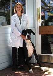 Francis of assisi veterinary medical center san antonio, tx dr. Dr Lynne Lawrence St Francis Pet Clinic Santa Barbara Ca
