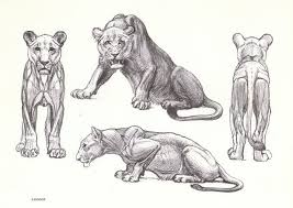 Could be easily added to a maya scene. Simple Lion Paw Drawing Novocom Top