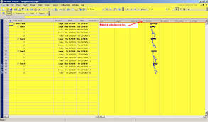 Change Time Range In Gantt Chart For Ms Project