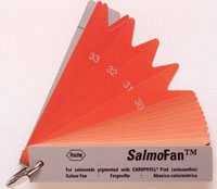 The Colour Of Salmon And The Salmo Fan