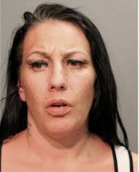 ᐅ Illinois Criminal Records 2009-2026