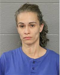 ᐅ Illinois Criminal Records 2009-2025