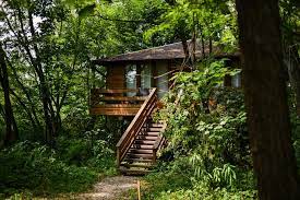 7.4 wifi gratuit (43 recenzii). Porumbacu Treehouse Porumbacu De Sus PreÈ›uri Actualizate 2021