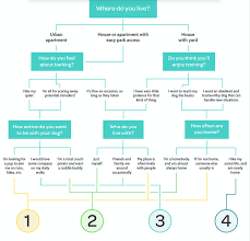 flowchart links different personality traits in people to