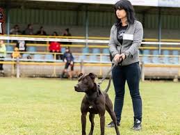I due sono stati arrestati dai carabinieri per maltrattamenti e abbandono di persona incapace con conseguente morte. Sbranata Dal Suo Cane O Dai 62 Cani Da Caccia Che Le Hanno Trovato Intorno Mistero Sulla Morte Di Elisa Pilarski