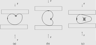 Predicting Cashew Nut Cracking Using Hertz Theory Of Contact