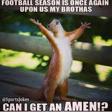 Football Season Squirrel Memes Happy Squirrel Animals Cute Animals