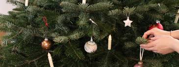 Allerdings wird das vorzeitige aufstellen des weihnachtsbaumes immer beliebter, sodass der weihnachtsbaum oft schon in der vorweihnachtszeit aufgestellt wird. Den Weihnachtsbaum Sicher Aufstellen Verband Naturlicher Weihnachtsbaum