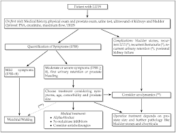 Diagnosis Of Benign Prostatic Hyperplasia Bph Www Urology Textbook Com