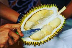 Pernah dengar pantang larang ibu mengandung supaya jangan makan telur separuh masak kerana dikhuatiri akan melahirkan bayi tak cukup bulan. Bagaimana Mengatasi Aroma Menyengat Setelah Makan Durian Reezumiku