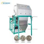 Garlic Colour Sorter Machine Facorty Price
