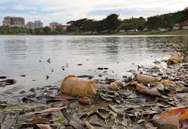 See more ideas about pollution activities, pollution activities worksheets, pollution. Water Pollution For Kids Information And Facts To Know