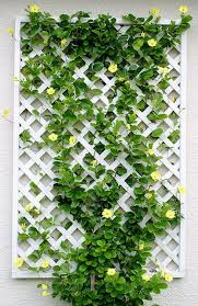 Add Space With Creative Vertical Gardens Part 1 Vertical Garden Wall Vertical Garden Diy Vertical Garden Design