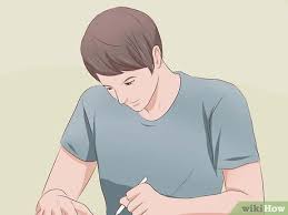 How to make a plant and animal cell model. 3 Ways To Build 3d Models Of Animal And Plant Cells Wikihow