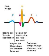 The ekg is used to determine heart rate, heart rhythm and other information regarding the heart's condition. Die Elektrokardiographie Ekg Messung Der Herzstromkurve