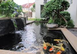 Jika anda berencana membuat kolam ikan atau sudah memilikinya, coba ikuti aturan feng shui agar kolam ikan di rumah membawa hoki. Taman Dan Kolam Ikan Minimalis Depan Rumah 2017 Sakti Desain