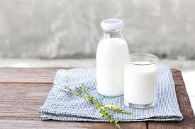 Benefits of milk: What can it do to your body?