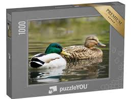 couverture de : Dans le jardin