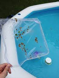 Diy Pool Skimmer Pool Skimmer Diy Pool Pool Cleaning