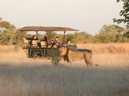 People lived in great zimbabwe beginning around 1100 c.e. The Best Ever Luxury Safari Tours In Zimbabwe For You