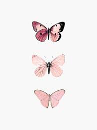 This is a place to see butterflies and share your own butterfly. Pink Butterflies Sticker By Haleyerin Butterfly Wallpaper Iphone Pastel Pink Aesthetic Pink Wallpaper Iphone