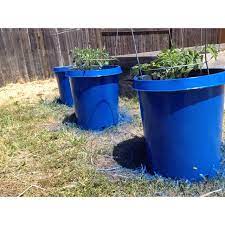 Plain Black Nursery Pots I Primed White Bought Blue Spray Paint For Plastic And Viola Adding Color Paint Garden Pots Plastic Nursery Pots Garden Yard Ideas
