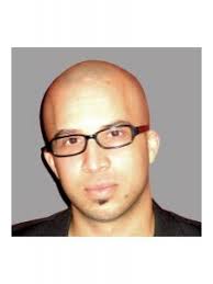 Dirk Sidney Jansen, Webdesigner/-entwickler