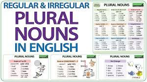 Check spelling or type a new query. Plural Nouns In English Regular Irregular Plurals Youtube