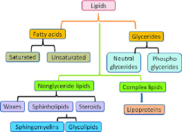 Image result for Lipid