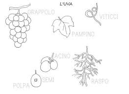 Blog Scuola Schede Didattiche Scuola Dell Infanzia La Maestra Linda Schede Didattiche Da Scaricare Autunno Immagini Di Scuola Scienza Per Bambini