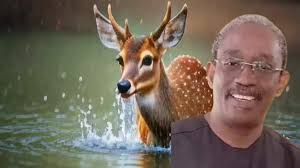 Are you tired of feeling like your prayers are falling