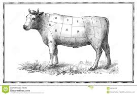 Old Beef Chart Stock Illustration Illustration Of Heritage