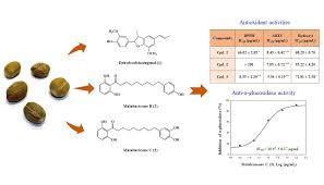 1260 infinity ii laboratory equipment pdf manual download. Molecules Free Full Text Evaluation Of Antioxidant And Anti A Glucosidase Activities Of Various Solvent Extracts And Major Bioactive Components From The Seeds Of Myristica Fragrans Html