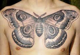 Poets and writers have always been inspired by the butterfly's beauty and strong symbolism. 69 Most Attractive Butterfly Tattoos For Chest
