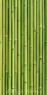 Bamboo Wall Repeat Wallpaper Click To Zoom Bamboo Wall Bamboo Wallpaper Bamboo Background