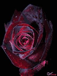 Https Encrypted Tbn0 Gstatic Com Images Q Tbn And9gcqcccij Fam7tkn1xtheufvfnjbjupd3vh9jg Usqp Cau