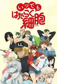 Hataraku Saibou Anime