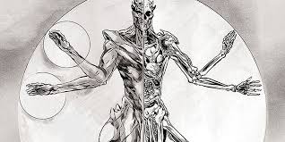Savesave simplified anatomy for the comic book artist for later. Comic Book Resources On Twitter Exclusive Dc S Anatomy Of A Metahuman S Martian Manhunter Files Https T Co Qs29c0zn5g